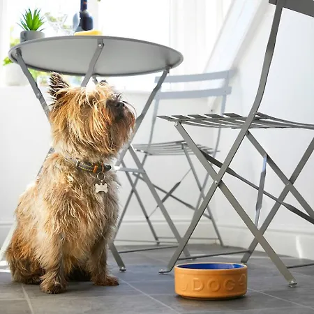 The Penthouse Queen Margaret's * 스카버러